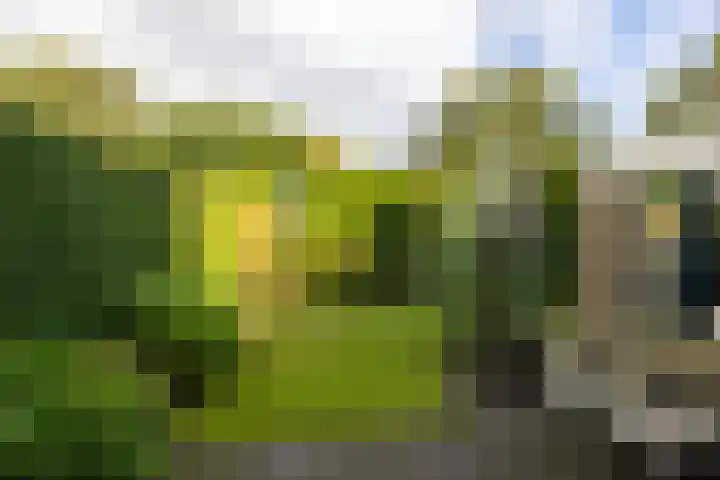 Venushof 2 Maarn thumbnail 34