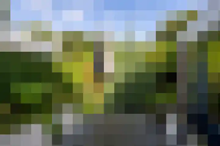 Venushof 2 Maarn thumbnail 35