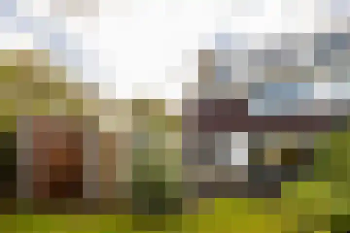 Venushof 2 Maarn thumbnail 36