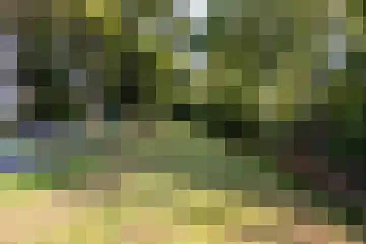 Venushof 2 Maarn thumbnail 38
