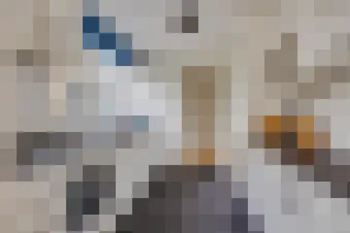Venushof 2 Maarn thumbnail 9
