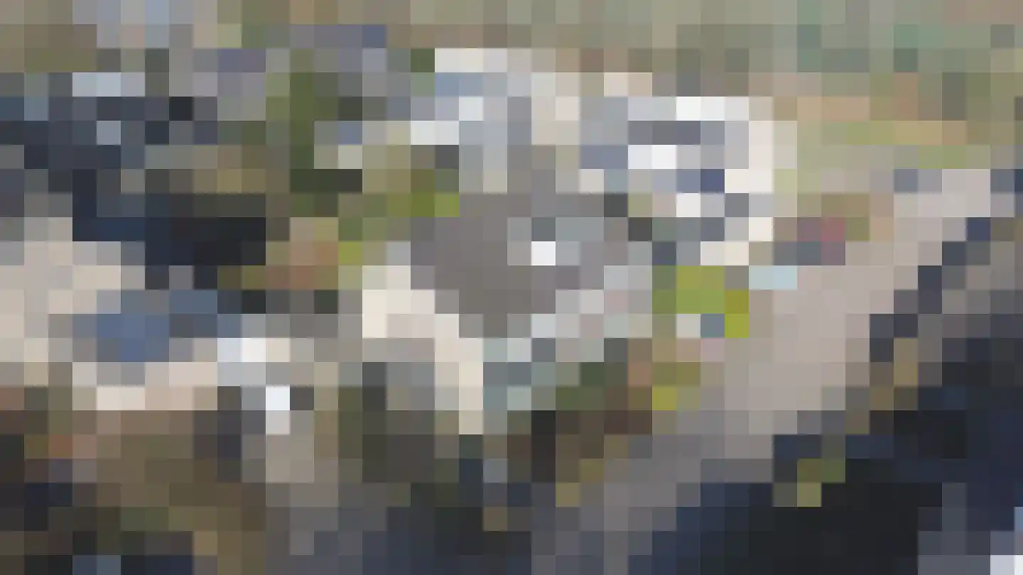 Venushof 4 Maarn thumbnail 36