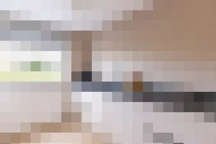 Venuskade 40 Assen thumbnail 13