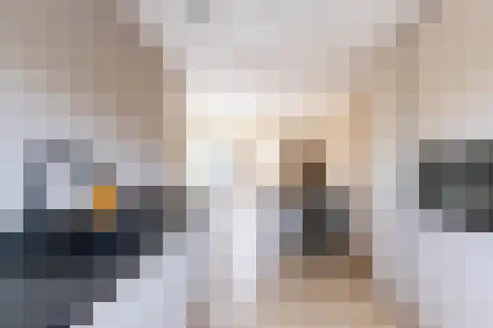 Venuskade 40 Assen thumbnail 14