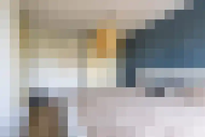 Venuskade 40 Assen thumbnail 31