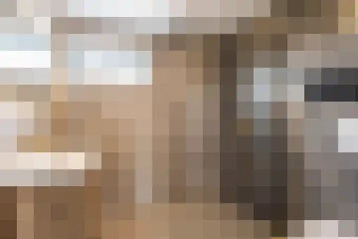 Venuskade 40 Assen thumbnail 32
