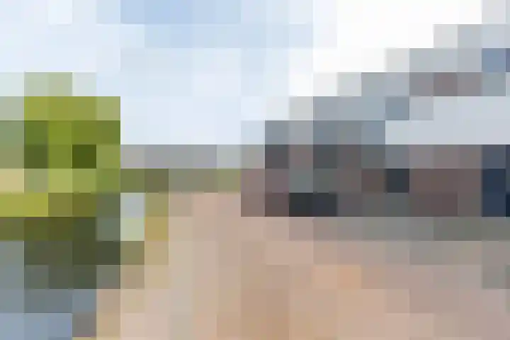 Venuskade 40 Assen thumbnail 7