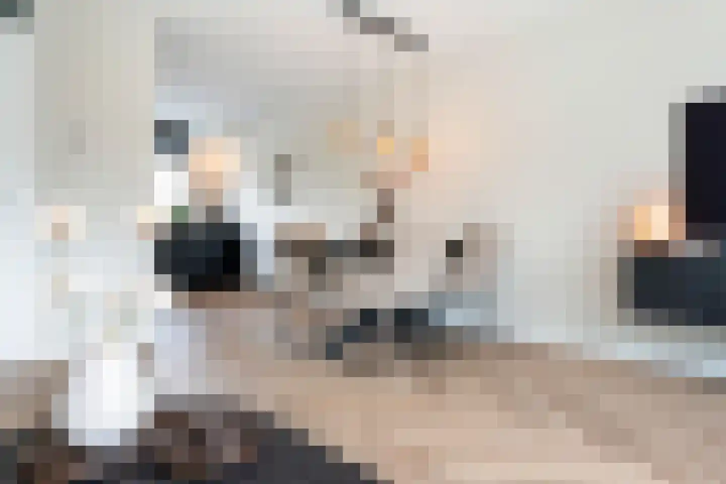 Venuskade 42 Assen thumbnail 14