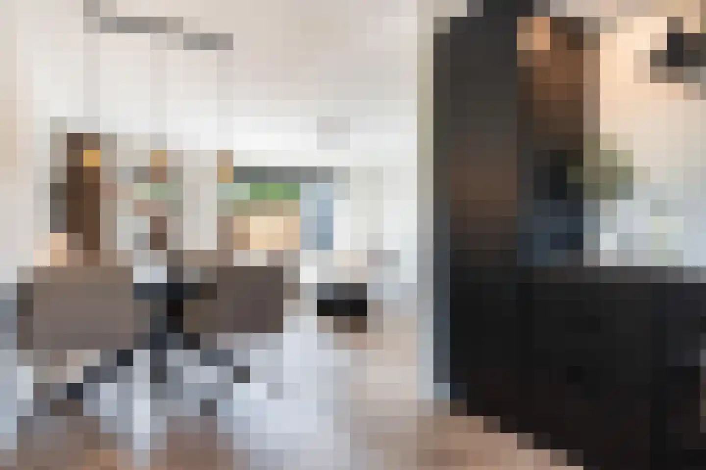 Venuskade 42 Assen thumbnail 19