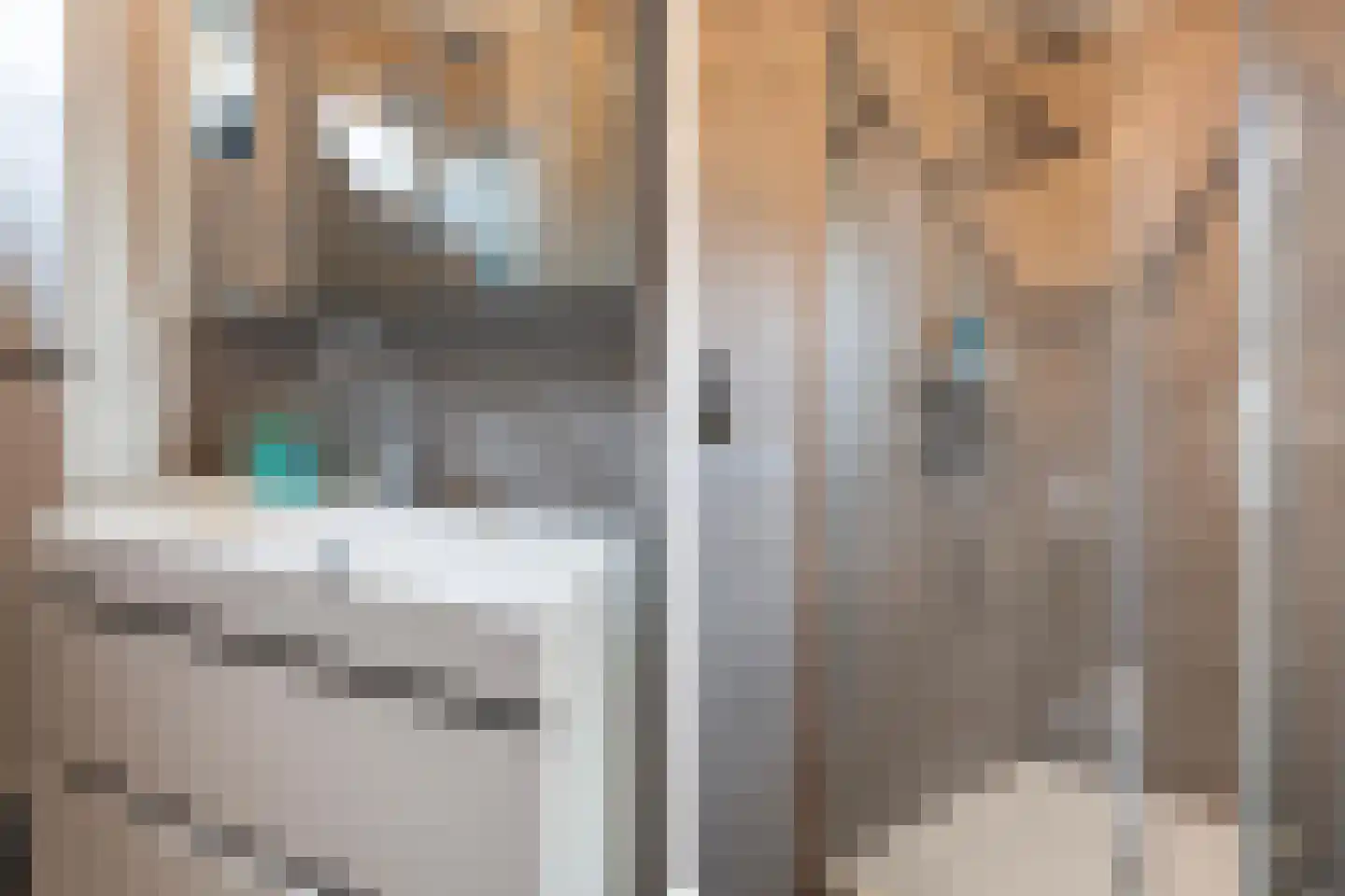Venuskade 42 Assen thumbnail 24