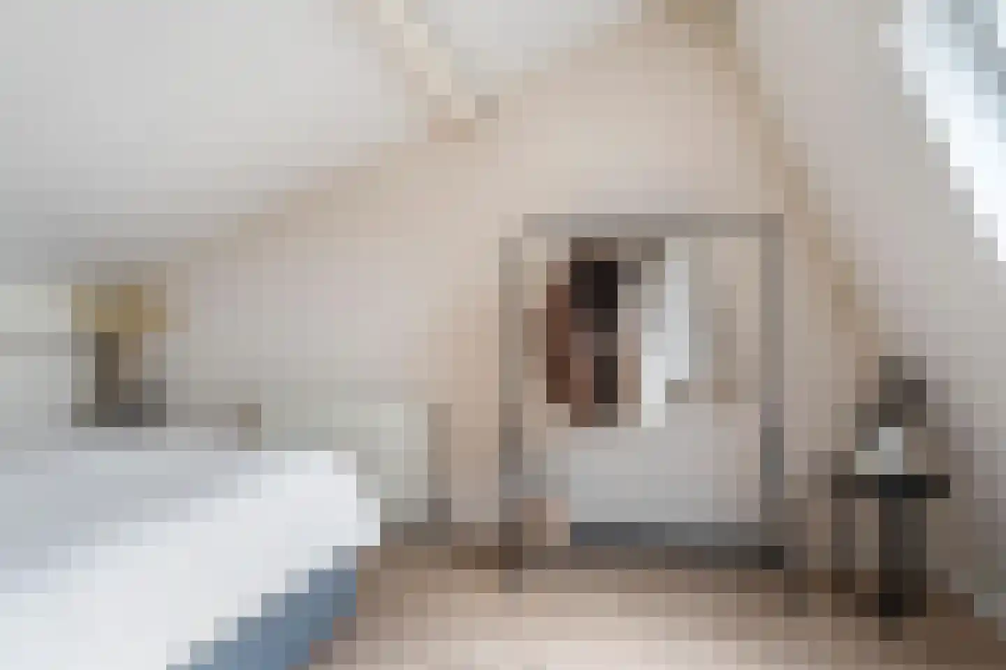 Venuskade 42 Assen thumbnail 29