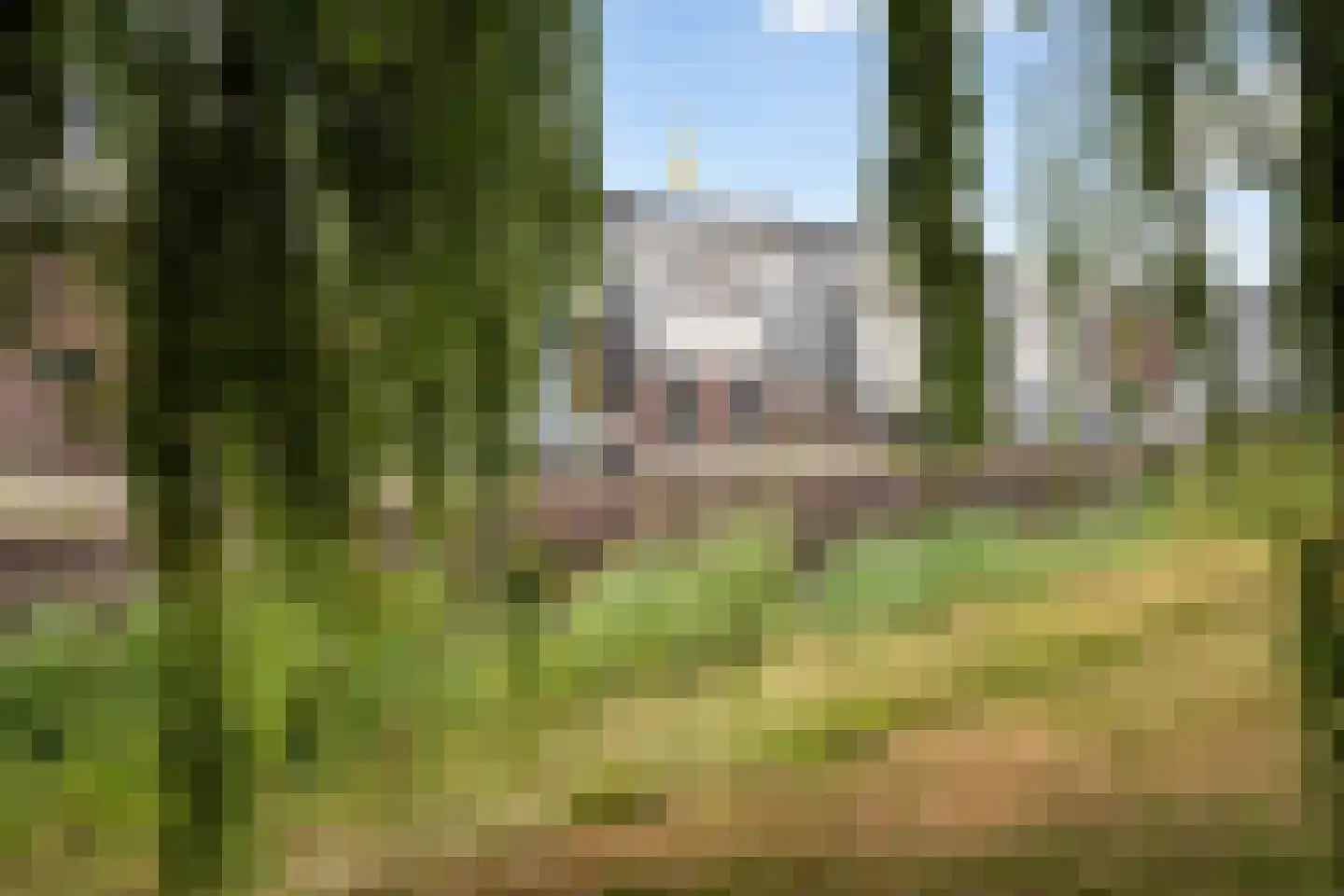 Venuskade 42 Assen thumbnail 5