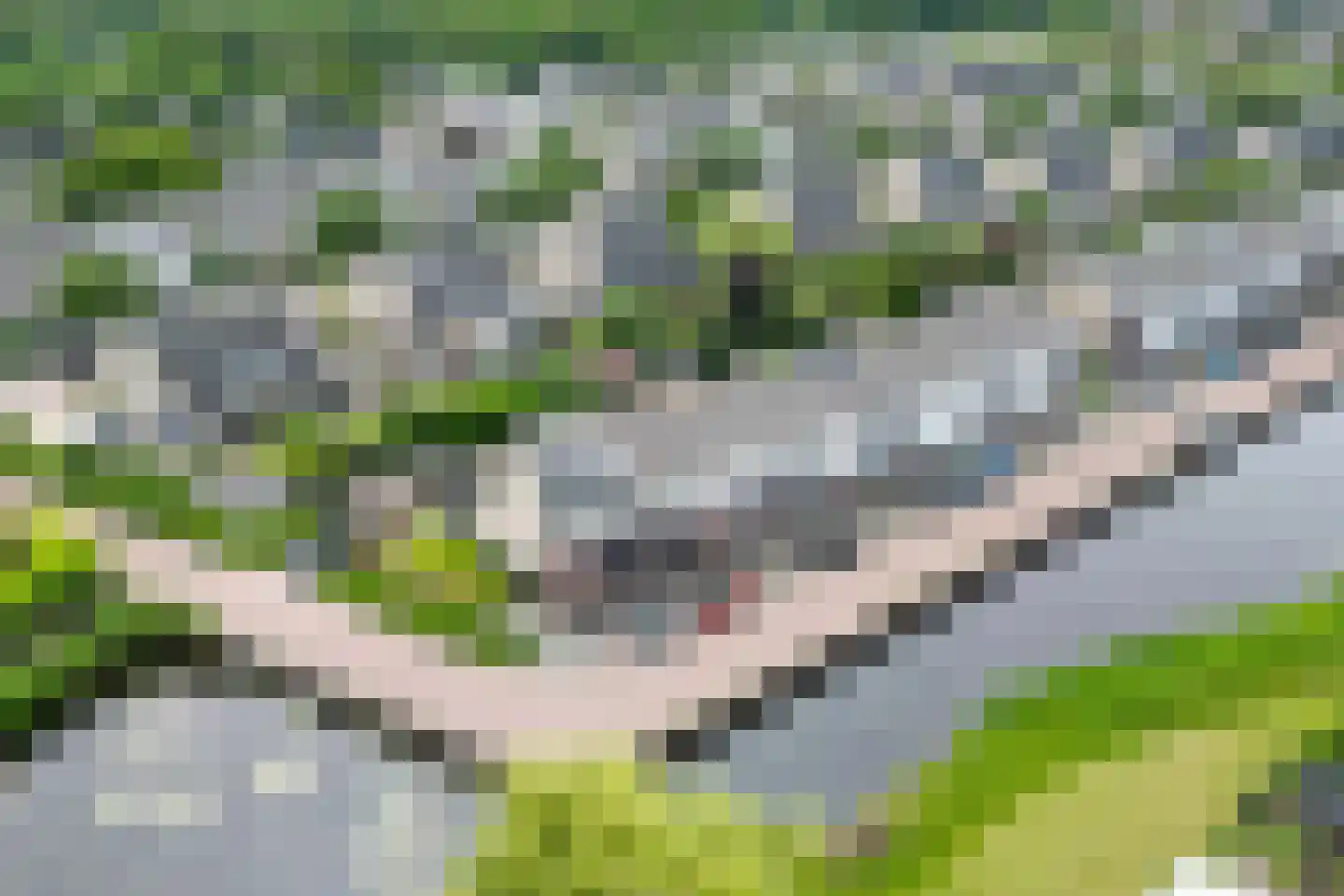 Venuskade 44 Assen thumbnail 12