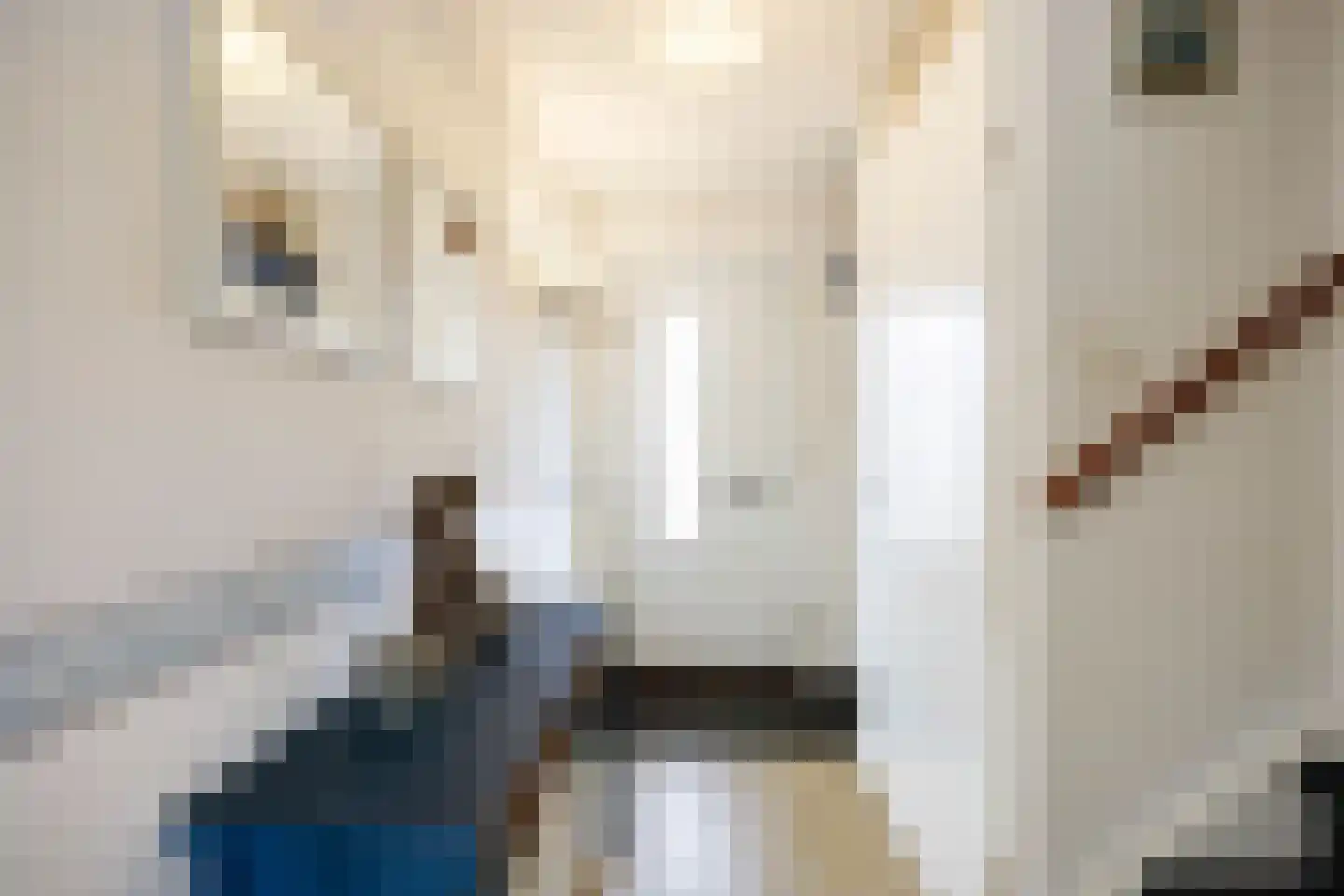 Venuskade 44 Assen thumbnail 18