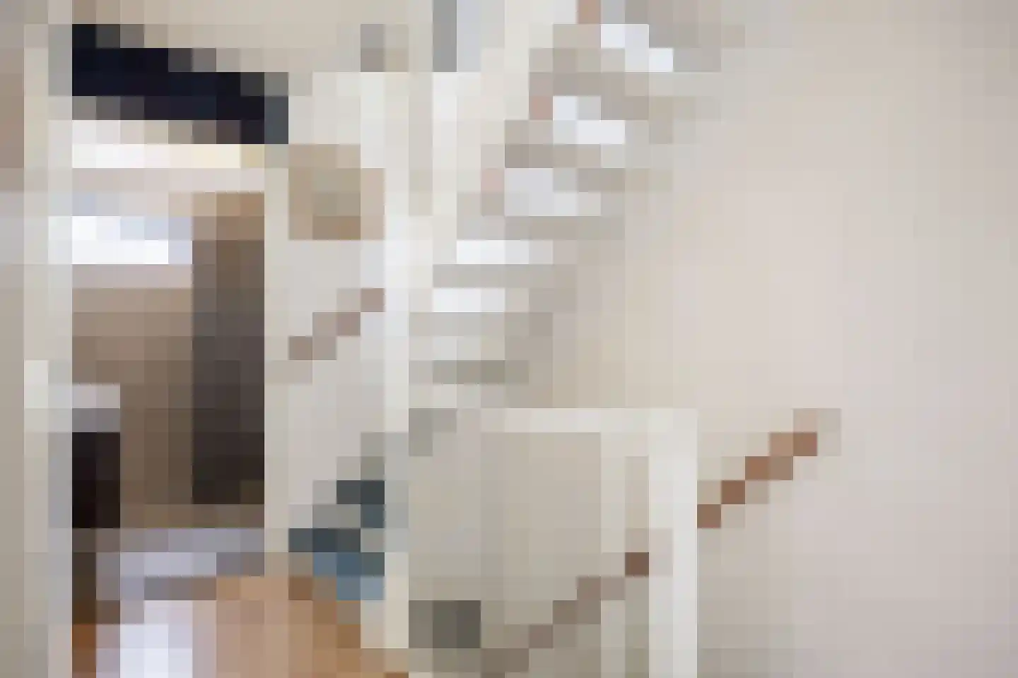 Venuskade 44 Assen thumbnail 33