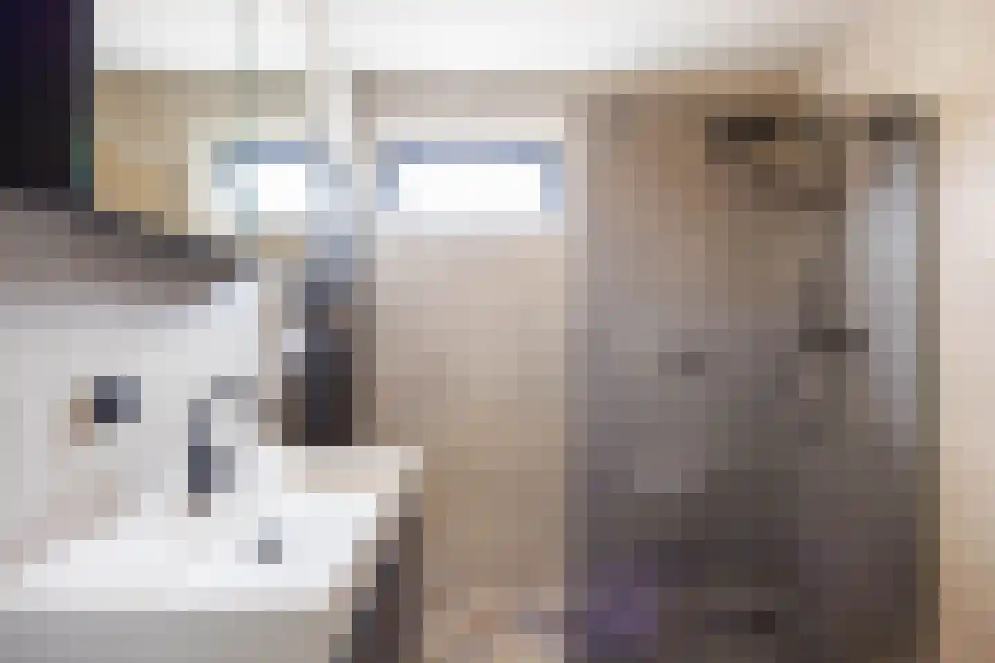 Venuskade 44 Assen thumbnail 42