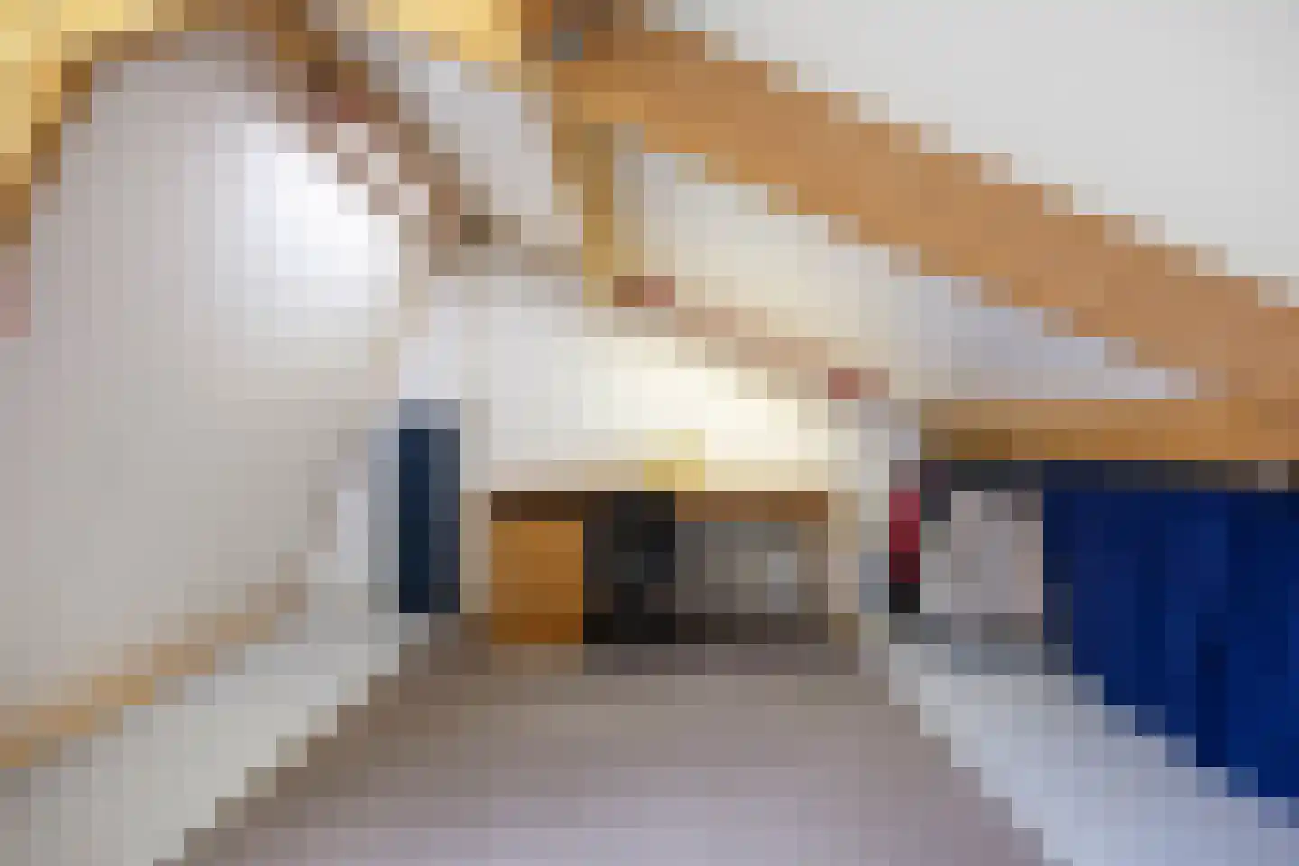 Venuskade 44 Assen thumbnail 45