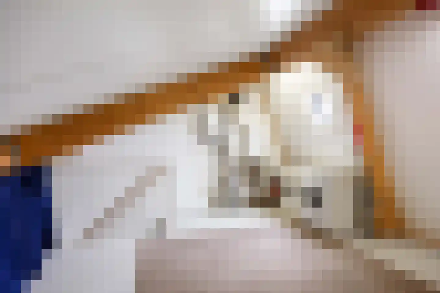 Venuskade 44 Assen thumbnail 46