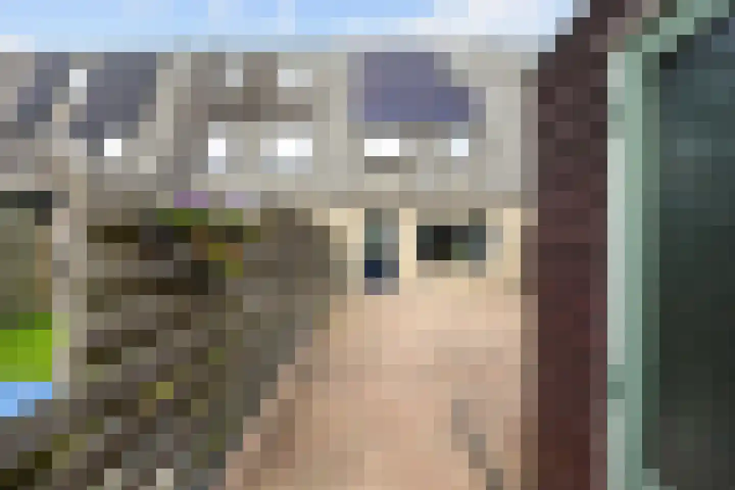 Venuskade 44 Assen thumbnail 50