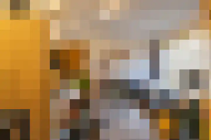 Venuslaan 137 Groningen thumbnail 15
