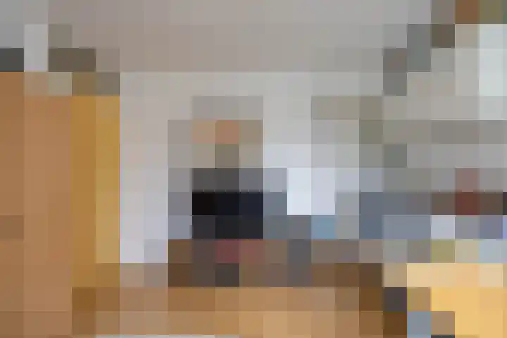 Venuslaan 137 Groningen thumbnail 22