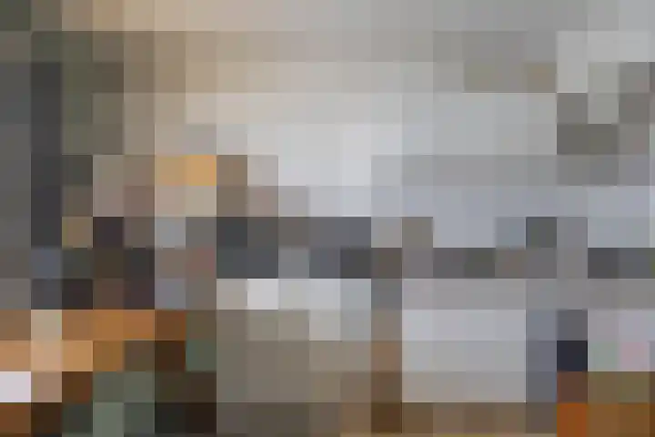Venuslaan 137 Groningen thumbnail 29