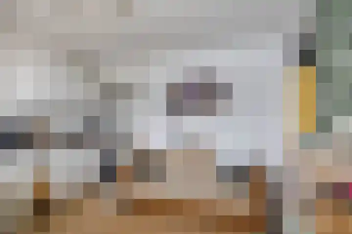 Venuslaan 137 Groningen thumbnail 30