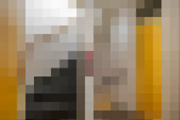 Venuslaan 137 Groningen thumbnail 34
