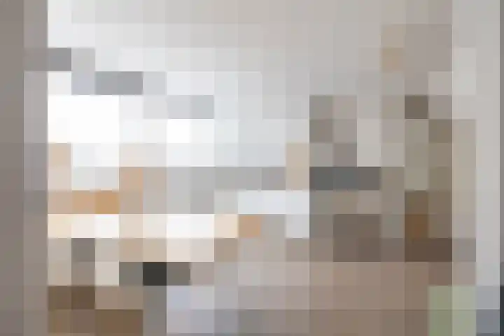 Venuslaan 137 Groningen thumbnail 36