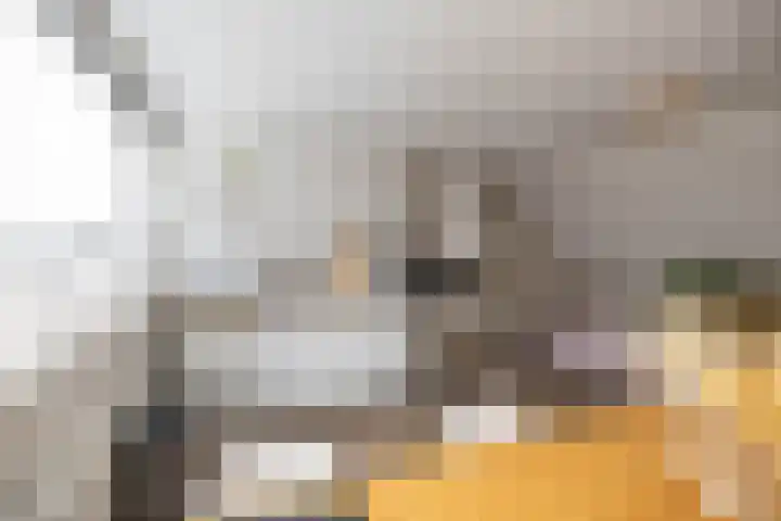 Venuslaan 137 Groningen thumbnail 39