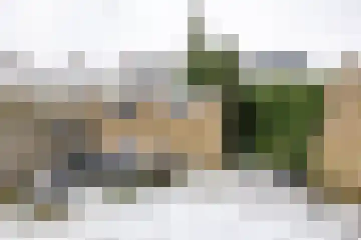Venuslaan 137 Groningen thumbnail 45