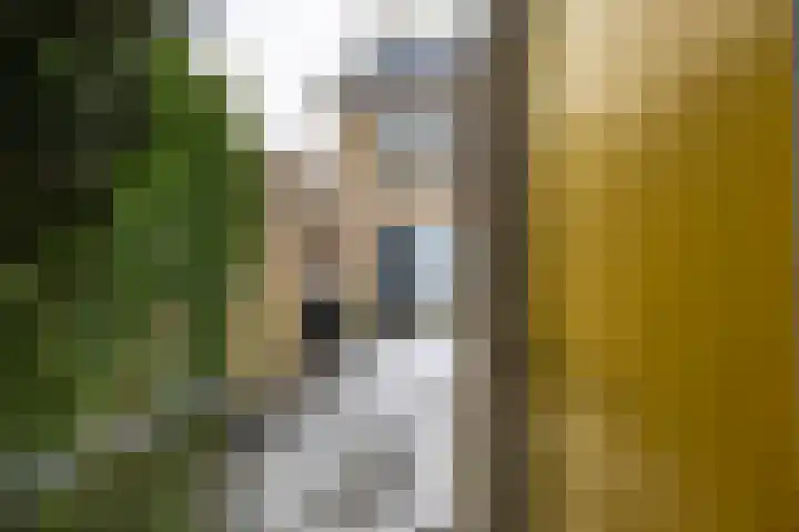 Venuslaan 137 Groningen thumbnail 46