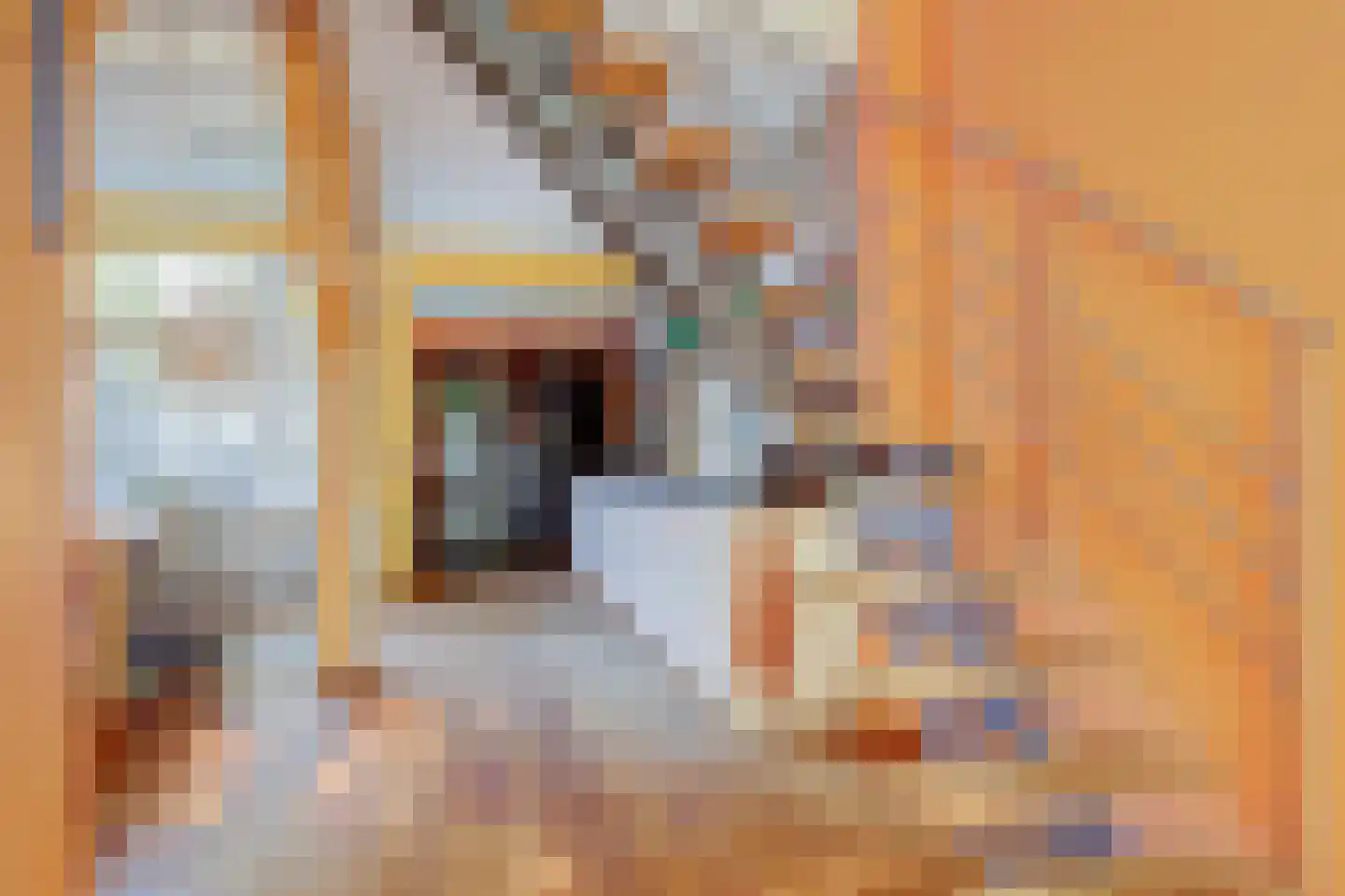 Venuslaan 2 Enkhuizen thumbnail 13