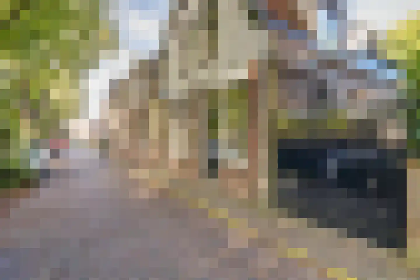 Venuslaan 2 Enkhuizen thumbnail 50