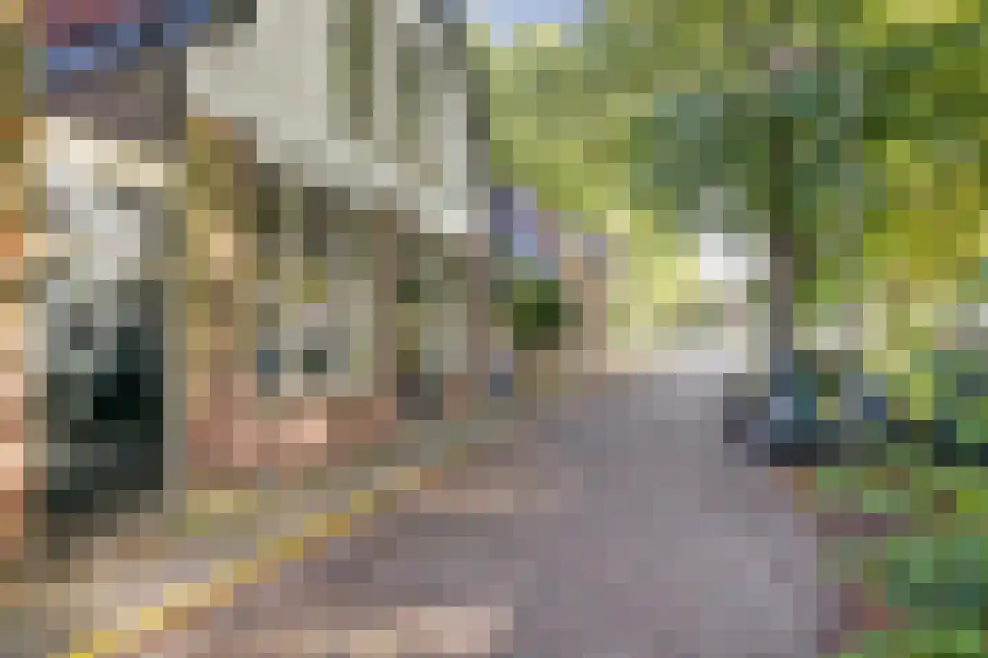 Venuslaan 2 Enkhuizen thumbnail 52