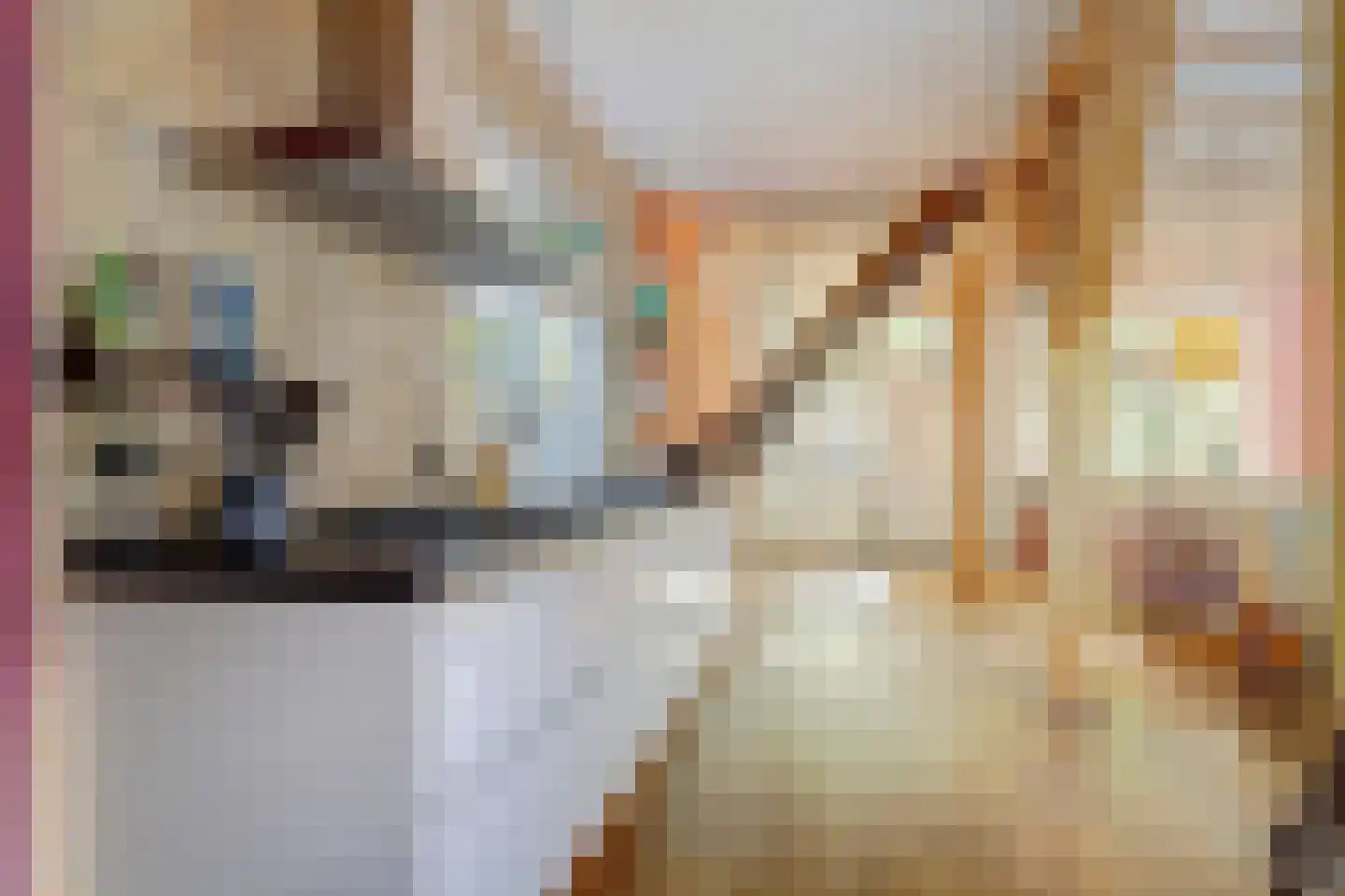 Venuslaan 2 Enkhuizen thumbnail 6