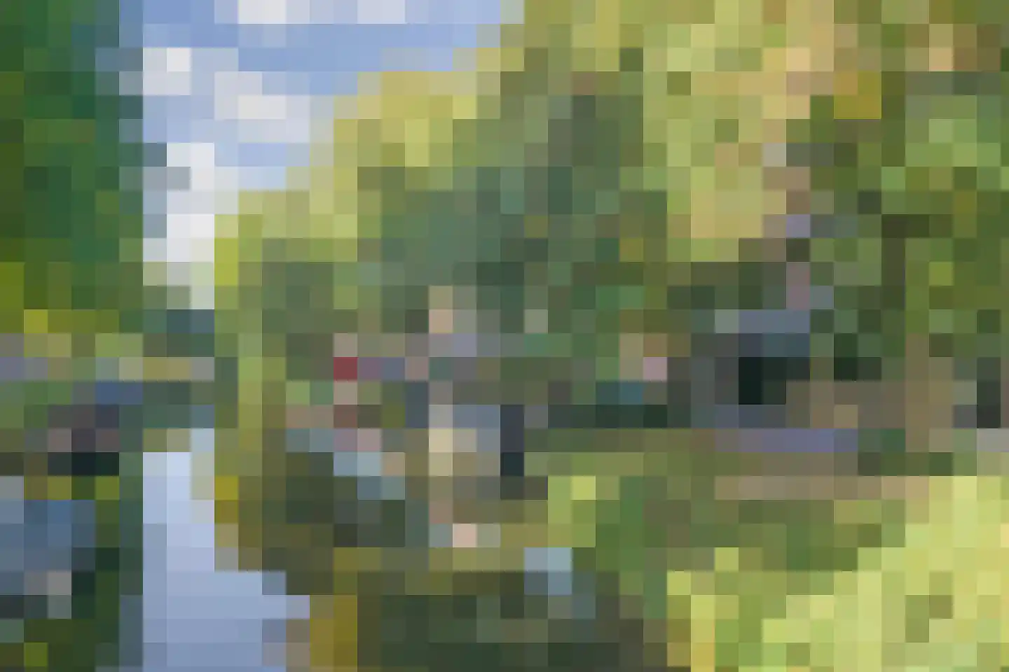 Venuslaan 2 Enkhuizen thumbnail 60