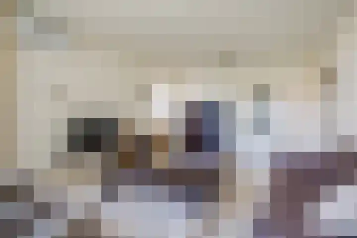 Venuslaan 203 Eindhoven thumbnail 12