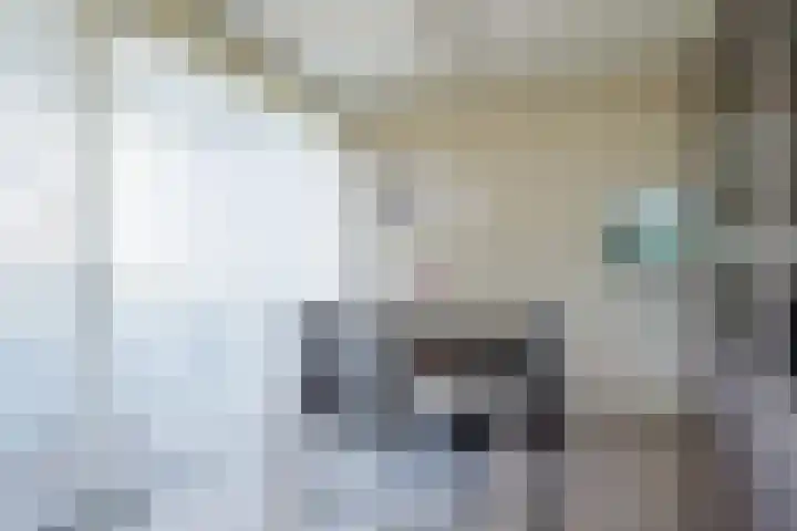 Venuslaan 203 Eindhoven thumbnail 16