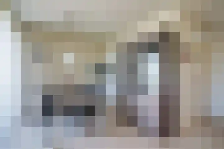 Venuslaan 203 Eindhoven thumbnail 17