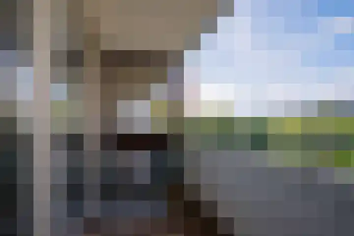 Venuslaan 203 Eindhoven thumbnail 18