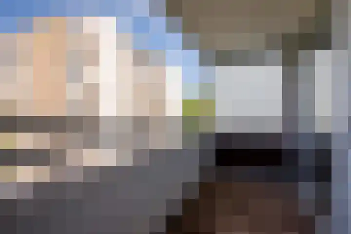 Venuslaan 203 Eindhoven thumbnail 19
