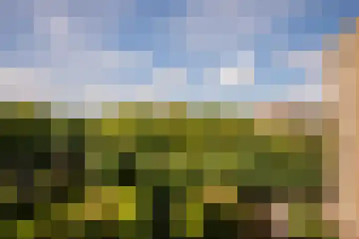 Venuslaan 203 Eindhoven thumbnail 20