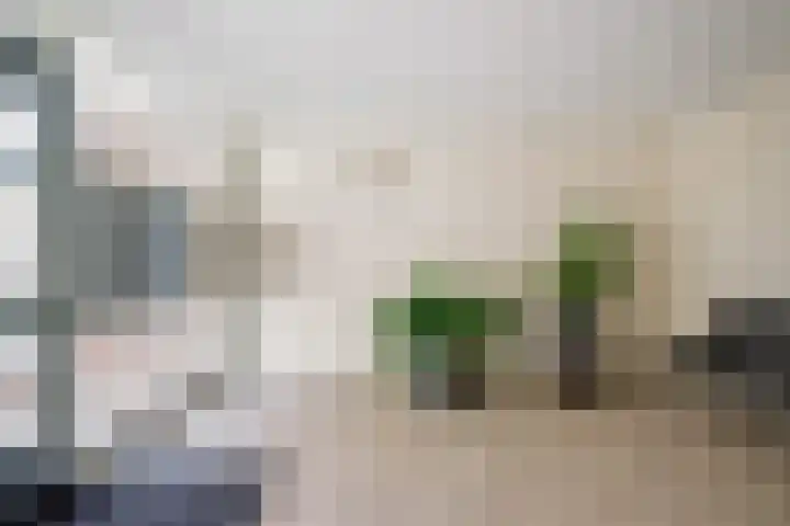 Venuslaan 203 Eindhoven thumbnail 5