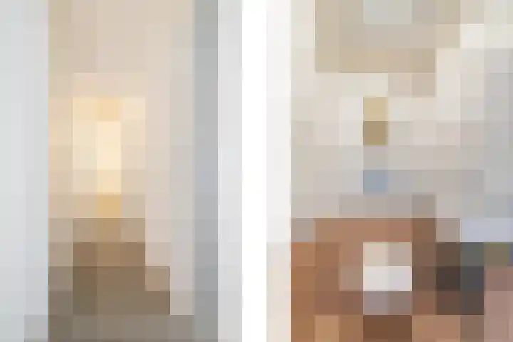 Venuslaan 217 Eindhoven thumbnail 10