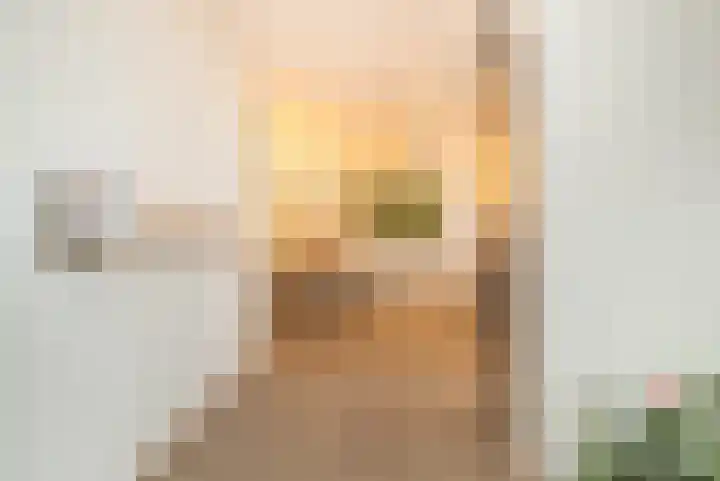 Venuslaan 217 Eindhoven thumbnail 11