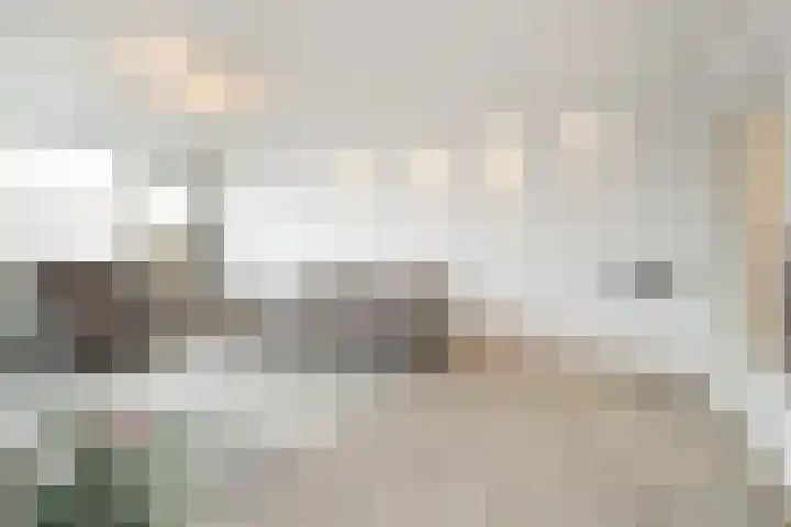 Venuslaan 217 Eindhoven thumbnail 12