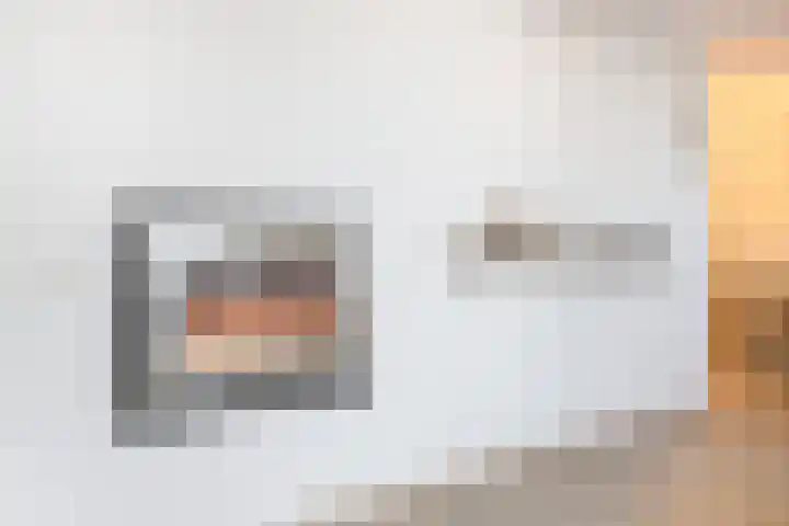 Venuslaan 217 Eindhoven thumbnail 15