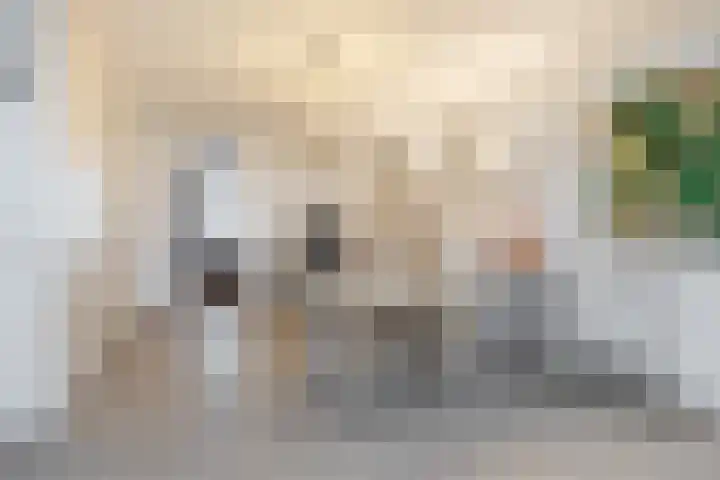 Venuslaan 217 Eindhoven thumbnail 18
