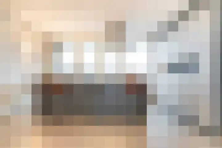 Venuslaan 217 Eindhoven thumbnail 19